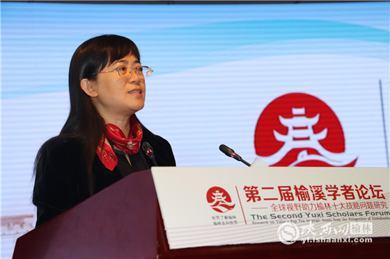 陕西网第二届榆溪学者论坛开幕120多名学者共商榆林发展大业