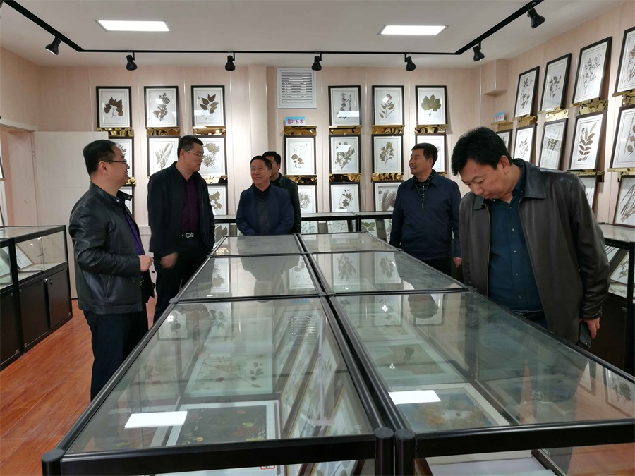 校领导赴绥德师范校区调研